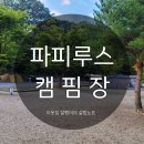 파피루스 캠핑장 이미지