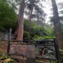 2021년 준경묘, 영경묘 유물특별전 | 준경묘.영경묘 유물 특별전을 보며