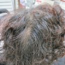 앤하우스 | 울산 중구 태화동 우정동 새치염색 컬러앤하우스울산점 미용실 후기