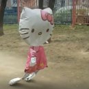 올디너리 헤어 | 문답