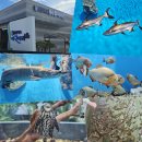 미생물연구관 | 충북 볼거리 괴산 아쿠아리움 곤충체험