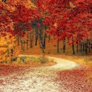 나무부동산중개 이미지