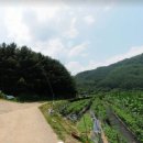 북한강공인중개사사무소 이미지