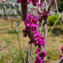 가현어린이공원 이미지