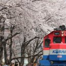 비 앤드 디테일링 이미지