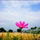 한강시민공원 이미지