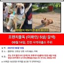 동물소류지 Daum카페