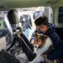 멍타냥택시 이미지