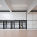 부산강아지분양 마이뭉 24시 | 부산강아지분양 마이뭉 24시 부산애견분양 한 번에 이해되게 정리한 후기