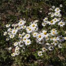 남구-018 이미지