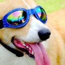 제이즈호텔 이미지