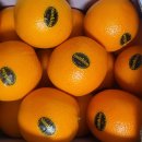 홈플러스익스프레스화곡점 이미지