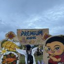 동화세탁소 | 2025 11월 대망의 러이끄라통 축제 솔직후기