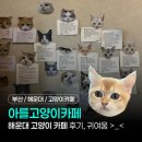 아를 | 해운대 고양이카페 '아를고양이카페' 후기 | 달맞이길 신상 핫플 이색데이트 추천