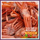 연일먹거리 이미지