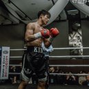 복싱바이러스 네이버블로그