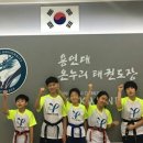 용인대온누리태권도장 이미지