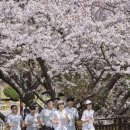 선라이즈서울