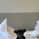 파머스펜션 이미지