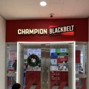 챔피언 오락실 | 인천 키즈카페 챔피언더블랙벨트 계양에 최초 상륙