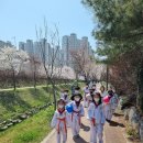 차암 한얼 태권도 이미지