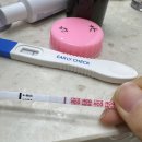 시엘병원 | 시엘병원 동결1차 후기#2 이식후증상(7-10),1차피검결과