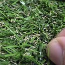 감포축구장 인조잔디축구장 | 베란다 인조 잔디 매트 추천 미도플러스 셀프 인테리어 인조 잔디 솔직 후기