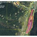 광야부동산공인중개사사무소 이미지