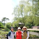 발바닥공원 이미지