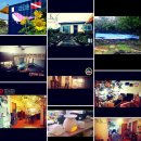 꿈꾸는 고래 이미지