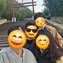 힐링댕 Daum카페