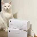 고양이털제거 잘 되는 청소포 여기저기 써본 후기