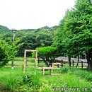 중대물빛공원 이미지