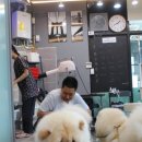 잇츠그루밍타임 | 활짝이와 피움이가 잇츠그루밍타임에 방문했어요~~
