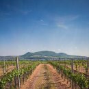 제이디치과의원 | [치과] 미금역 치과에서의 진료와 만족스러운 경험