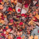 오대산장 화장실 이미지