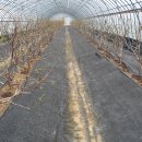 산들농장2 이미지