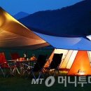 스포츠위즈