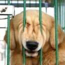 생활영어2 이미지