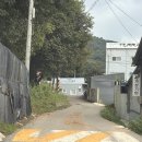 사단법인 사랑해밥차 | 애견카페갈래? 아니 ㅋ; 유기견 센터 봉사할건데? 🐾 (인천 유기견 보호센터 봉사 후기)
