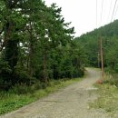 등대바다 이미지