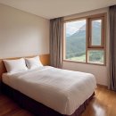 소노캄 델피노 A . B 이미지