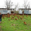 밤나무축산 이미지