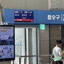 소소박 | 2박 3일 칭다오 여행 - 1일차(일정/믹스몰/LUYU(루위)/칭다오 맥주 박물관/헤이티/타이동 야시장)