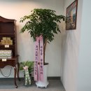 아리엘베이커리
