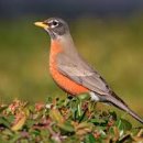 안중레포츠 공원 체육시설 이미지