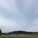 푸른길목장 네이버블로그