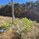 한골농장 이미지