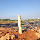 병렬농장 이미지