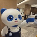 백가내자연 | 대구 신세계 차백도, 오픈하자마자 줄 서는 이유 직접 가봤습니다